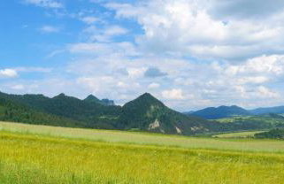 Agroturystyka Chmiel - Foto 62