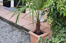 Malpensa Guest - Foto 1