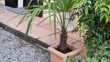 Malpensa Guest - Foto 1