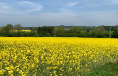 Eifler - Sonnenfels - Foto 26