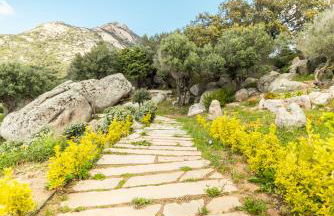 Agriturismo Bed and Breakfast Tanca Taroni - Foto 77