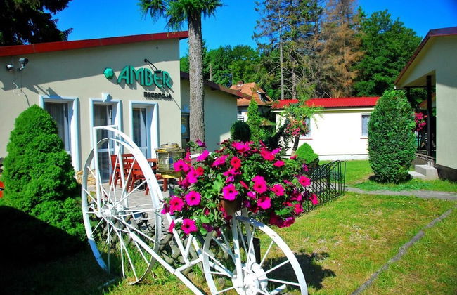 Domki Amber - Foto 29