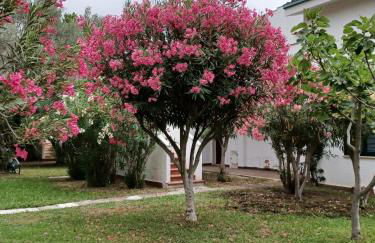 Tra Ulivi E Mare - Foto 15