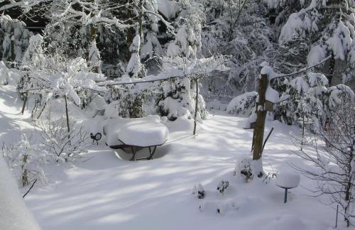 Ferienwohnung im Harz-Haus-Bruns - Foto 51