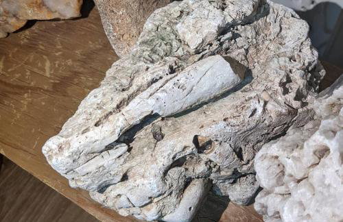 Legacy Ranch - Foto 41