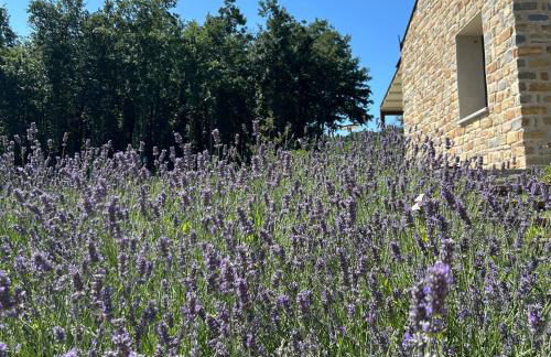 Agriturismo Prato del Re - Photo 53