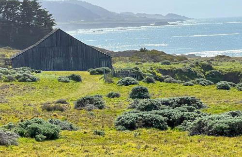 Wild Meadow - Photo 16