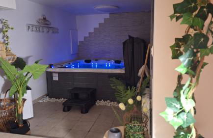Perle d'eau-Love Room-Jacuzzi-Sauna-Proche Montbéliard et Belfort - Foto 76