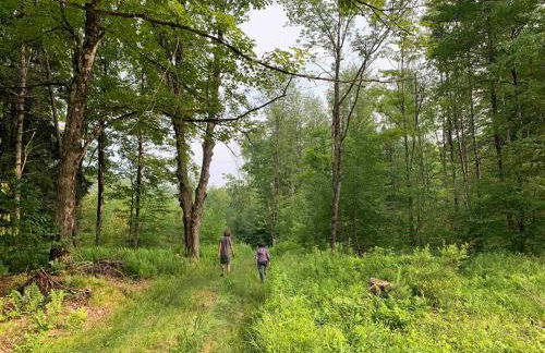 Secluded Farmhouse Near Okemo, Bromley, Sunapee - Foto 27