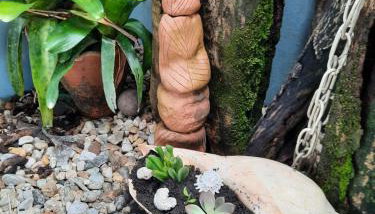 casa no paraíso do Capri - Foto 5, Garden view