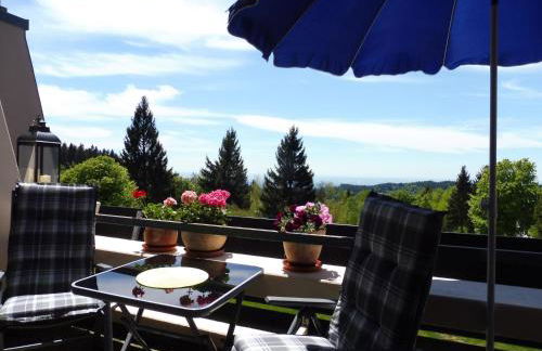 Komfortable Wohnungen und Studio in Sankt Englmar - Foto 48