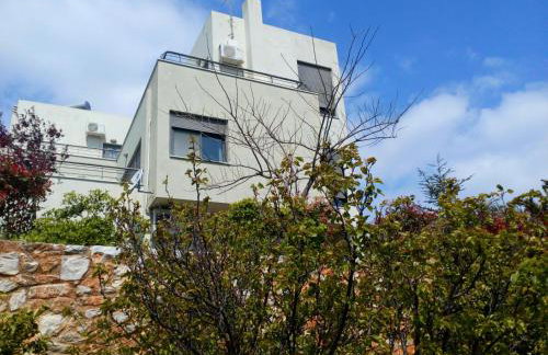 Belle Hélène - Foto 4