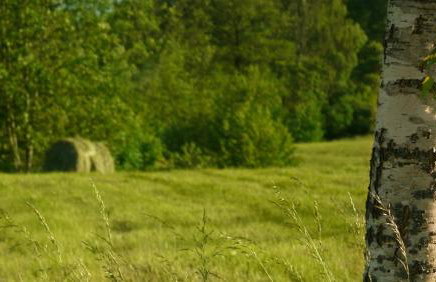 Siedlisko Szwałk - Foto 36