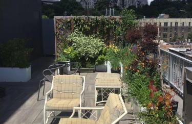 Large and Luxurious in Strivers Row - Photo 40