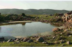 Village Díaz - Fernández - Foto 71