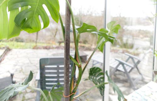 Le Gîte des Cimes - Foto 72