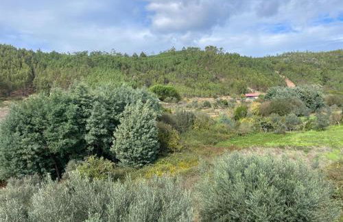 Alojamentos da Aldeia - Foto 35