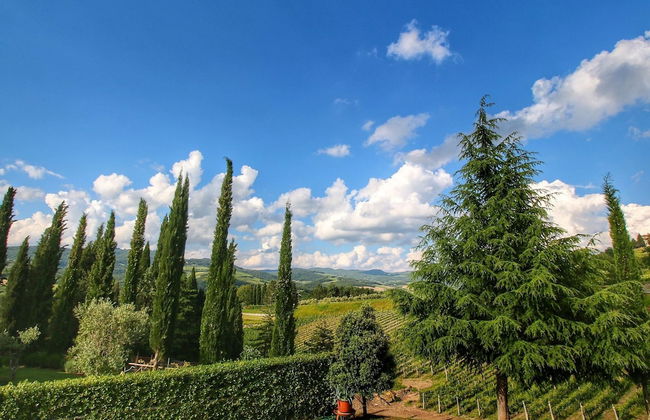 Escape to Vineyards, Elba - Foto 34