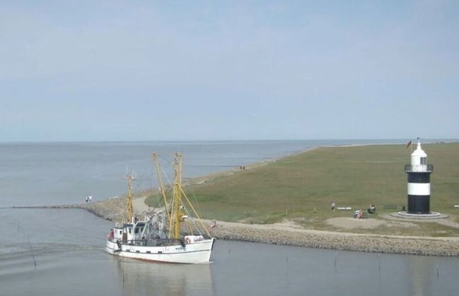 Ambiance Modern Retreat - Photo 24