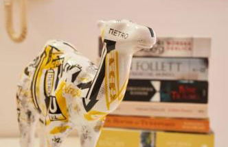 Coral Villa - Foto 28