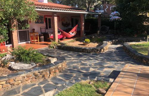 Monte do Rei Santo - Foto 8