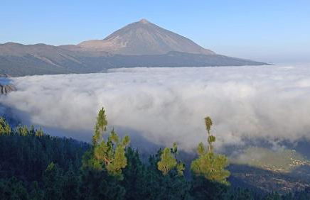 Las Rosas de Clara - Foto 15