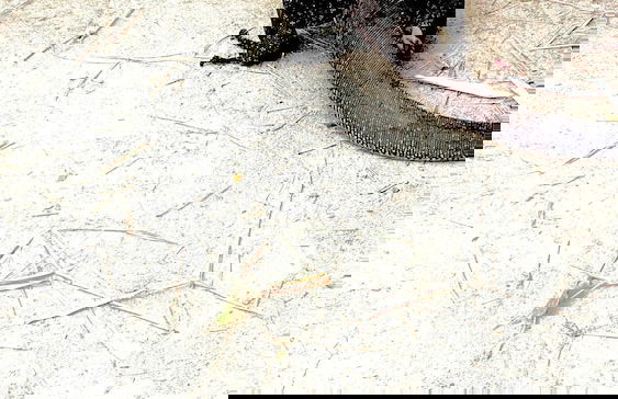 River Paradise Safari House with Cooking Class - Photo 19