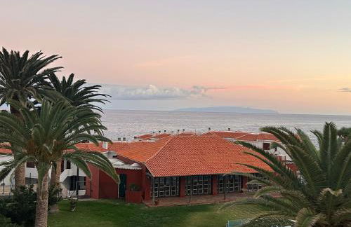 Salitre Tea - Foto 3