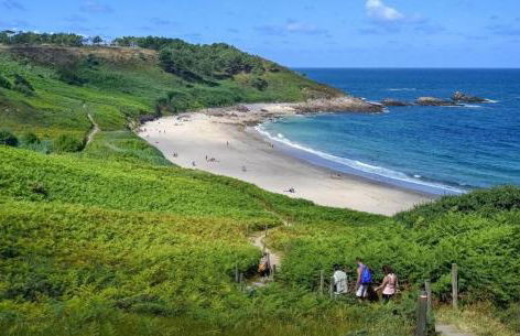 Les acacias - Photo 46