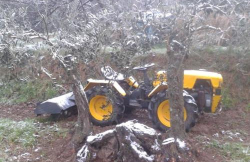 MASIA CAN SUNYER AGROTURISMO - Foto 7