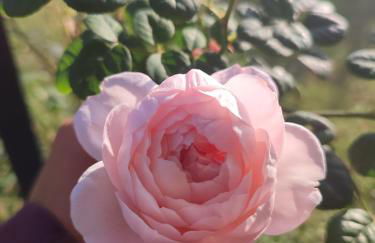 La Casa di Stefania LOFT - Foto 31