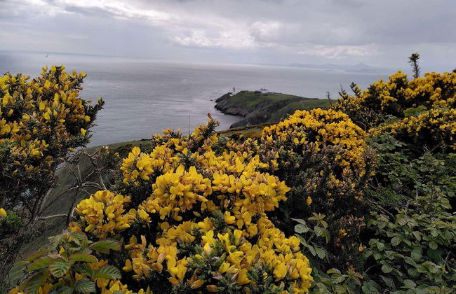 Howth Peninsula Hiking Tour - Photo 6
