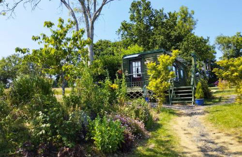 Peaceful ensuite lakeside cabin 'Tench' - Foto 5