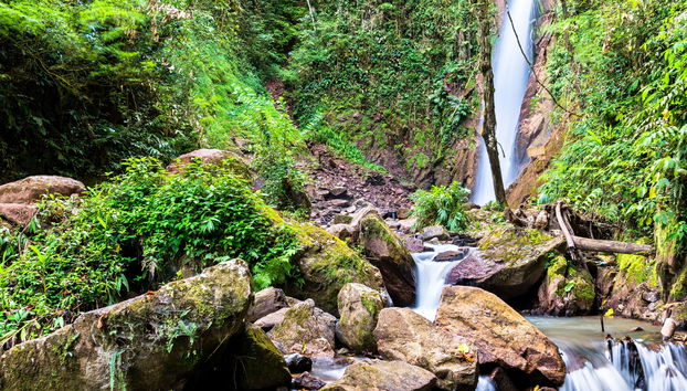 Excursión a San Ramón y cuenca de Toterani