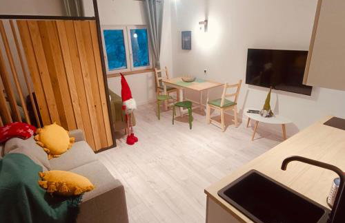 Studio z sauną - Foto 6