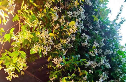 Agriturismo Borgo Ornina - Foto 77