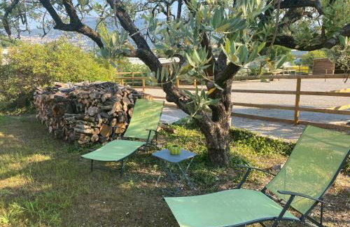 La Bastide de Jean Maison de charme dans un domaine equestre privé - Foto 32