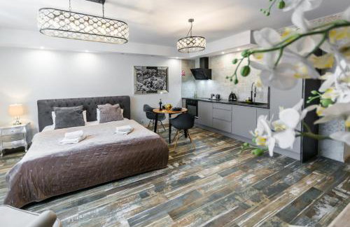 Old Town Premium Kazimierz Apartments - Photo 68