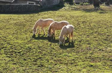La casina del Cabrajigo - Foto 38