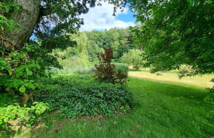 Wolfsmühle - Foto 51