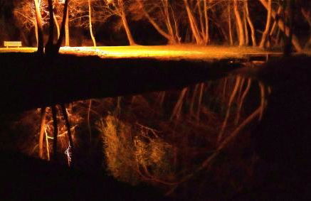 La Regina del Bosco - Foto 12