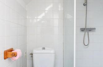 Le Moulin de Dannemarie - Foto 85