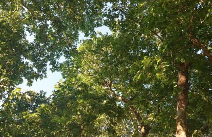 House of Aggelos - Karya Lefkadas - Photo 25