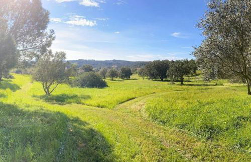 Quinta Vale da Paz - Foto 33