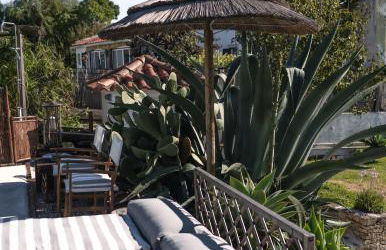 João Jungle - Foto 14