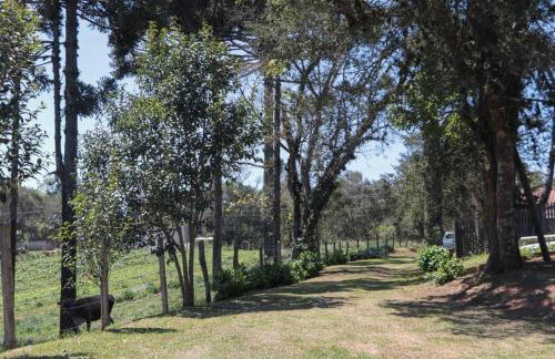 Chácara do Sapé - Foto 17