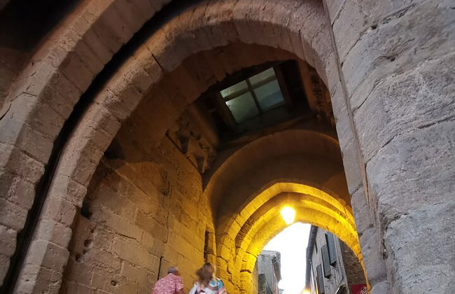 Tour per piccoli gruppi della Cité de Carcassonne - Foto 9