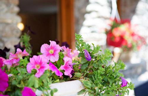 Maison Godioz - Appartamento 3 - Foto 8