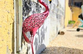 Camargue - La Saline Forézienne - Salin-de-Giraud - Photo 7