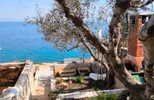 Apartman None - Photo 16